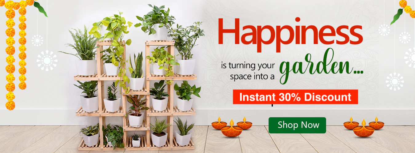 Bring Your Garden to Life